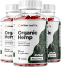 Buy 3 + Get 2 Free