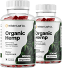 Buy 2 + Get 1 Free